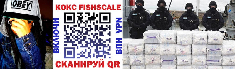 COCAIN FishScale  Купить  Тулун 