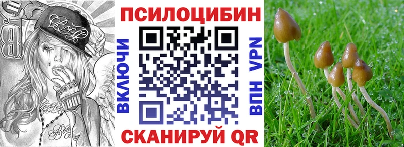 Купить где  Тулун  Галлюциногенные грибы Psilocybe 